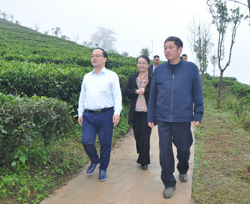 隆林县有多少人口_隆林县图片(2)