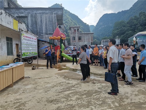 德保县政协指导挂点龙光乡