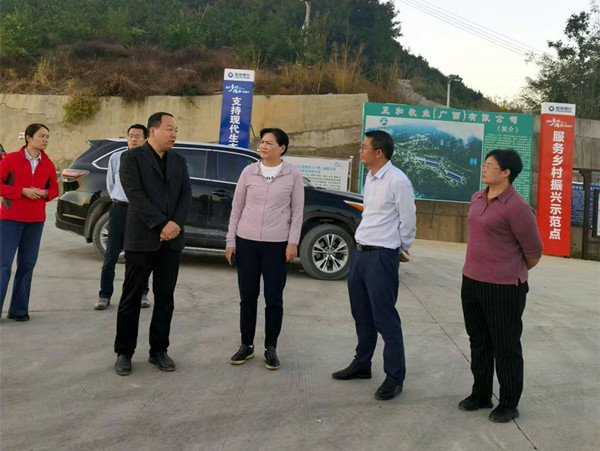 伍奕蓉到西林县开展重点提案督办工作