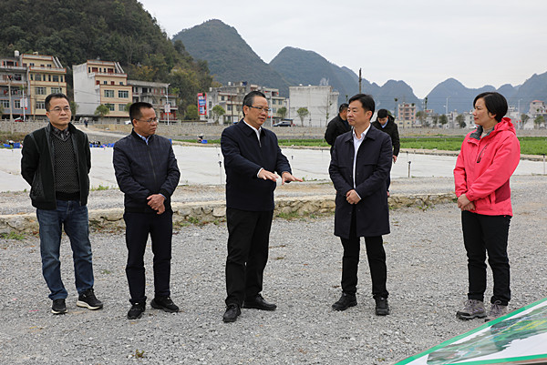 石国怀在乐业县甘田高山蔬菜基地调研.JPG