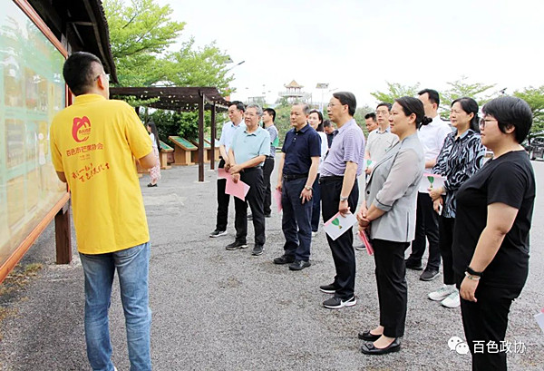 图为调研组到右江区现代农业澄碧湖芒果产业（核心）示范区调研.jpg