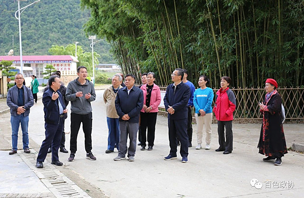图为调研组到岳圩镇汉邦村大汉屯调研。.jpg