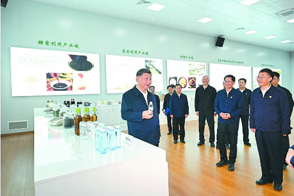 这是14日下午，习近平在来宾东糖凤凰有限公司考察。 □新华社记者 谢环驰 摄.jpg
