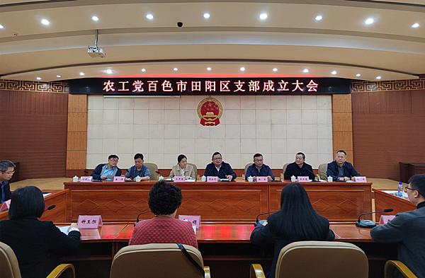 农工党百色市田阳区支部成立大会.jpg
