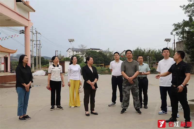 右江区政协副主席陈玉莲（左四）实地了解“千万工程”示范村创建情况。.jpg