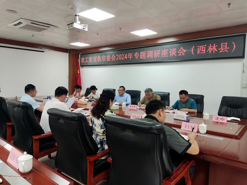 图为在西林县调研座谈.jpg