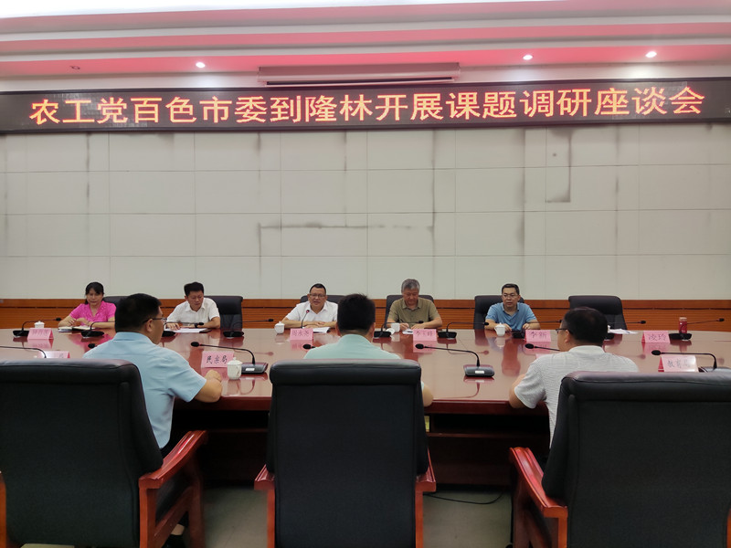 图为在隆林自治县调研座谈.jpg