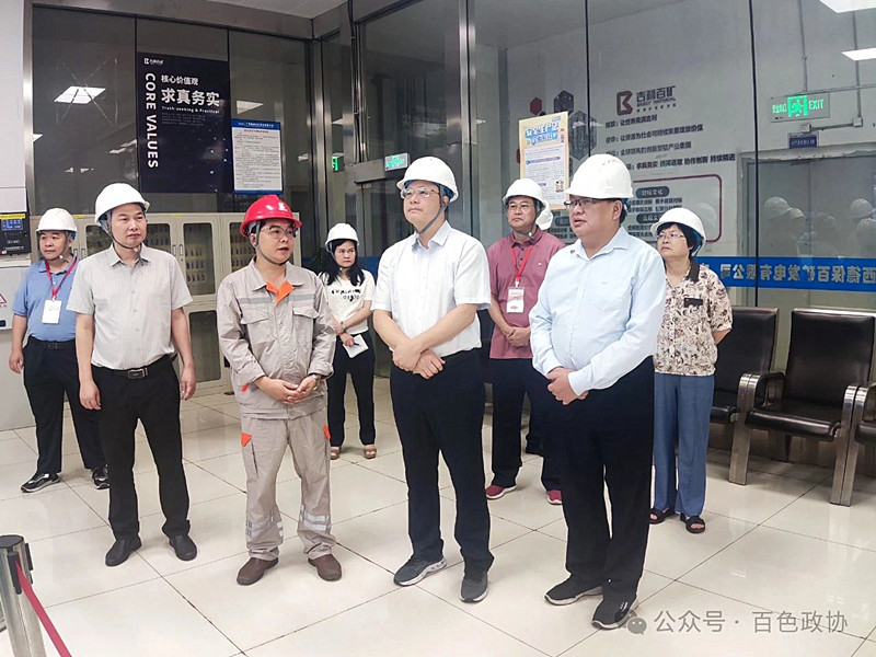 调研组在广西德保百矿发电有限公司实地调研。.jpg