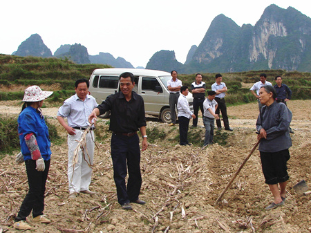 德保县政协甘蔗生产情况专题调研组到龙光乡开展调研