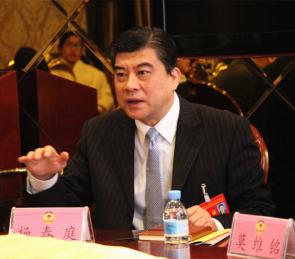 杨春庭参加政协文化艺术、文新体广电界讨论政府工作报告