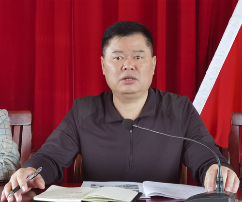 韦胜到隆平村组织召开巩固国家卫生城市工作推进会