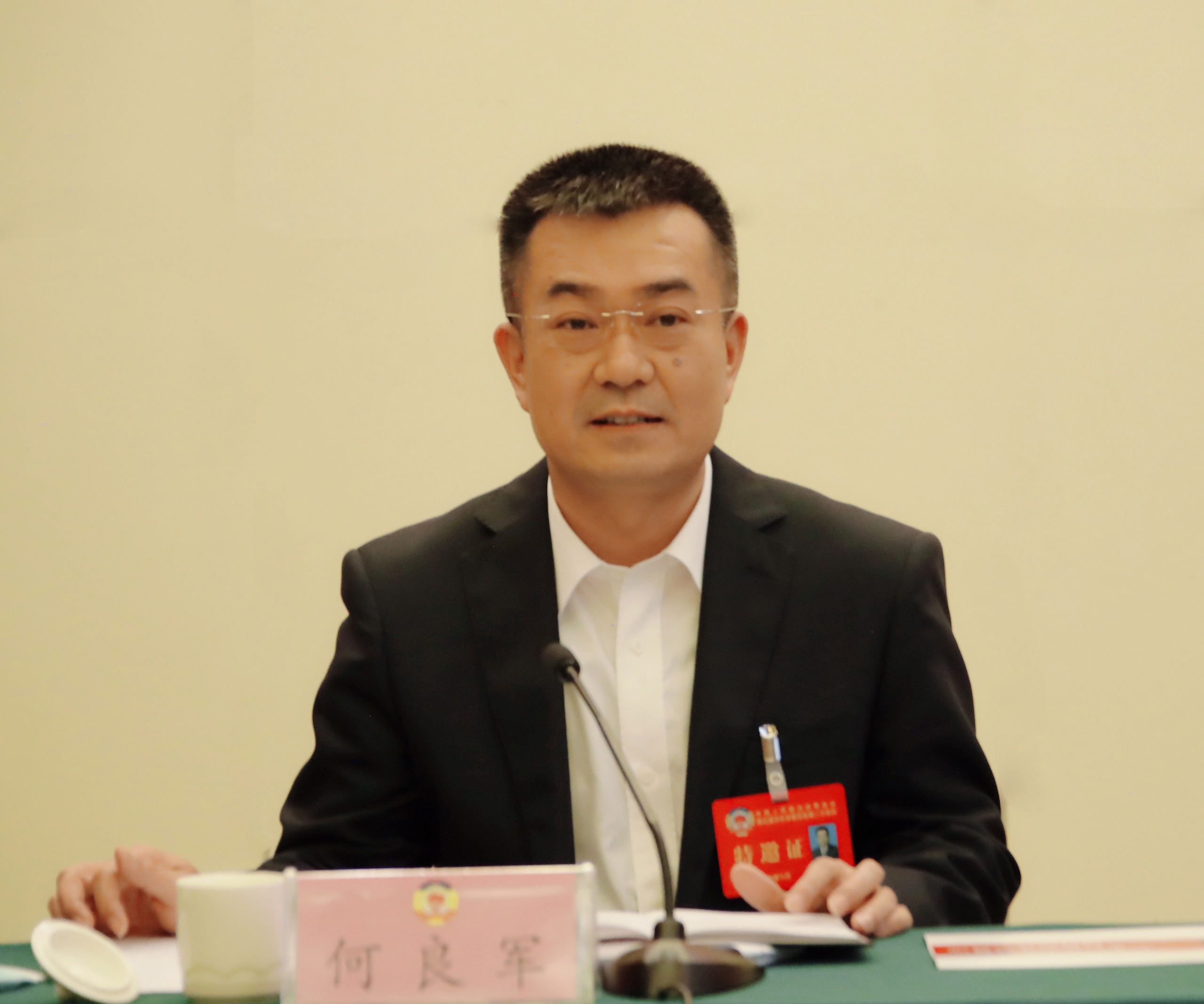 广西百色政协网 - 政协新闻 - 何良军参加政协经济,医药卫生界联组