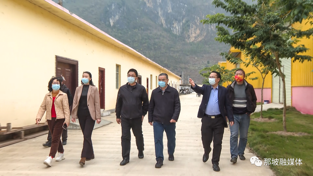 韦晓东到那坡县调研企业复工复产情况