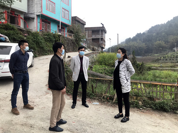 关善丹到玉凤镇指导疫情防控工作