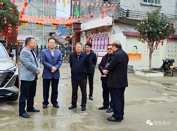 黄建宁到那坡靖西德保调研