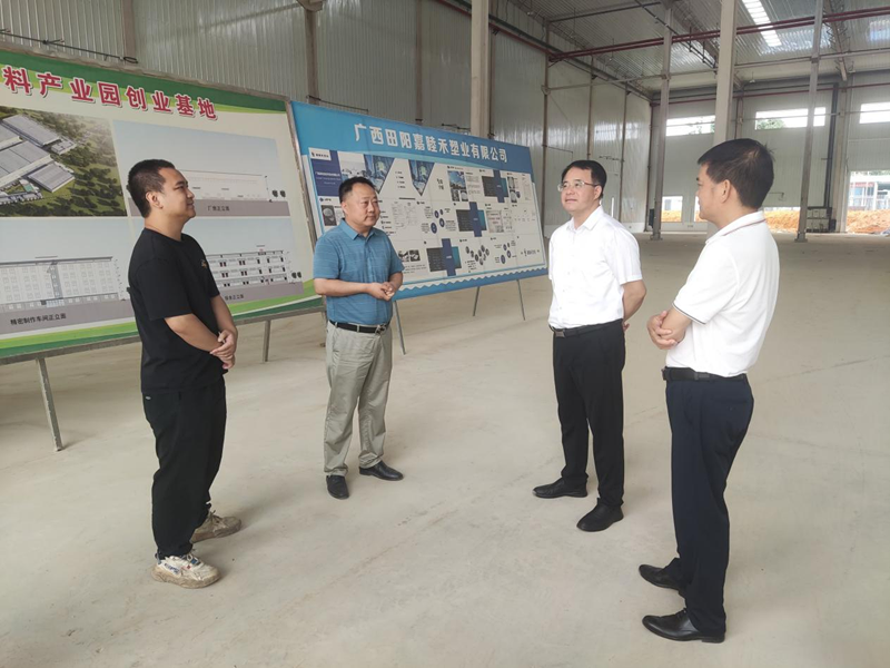 黄建平到田阳区开展壮大实体经济推动高质量发展调研服务