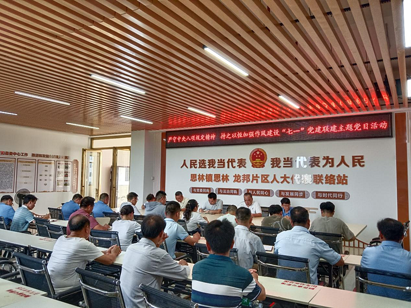 图为市政协驻龙邦村第一书记周纲在交流研讨会上领学中央八项规定精神。.png