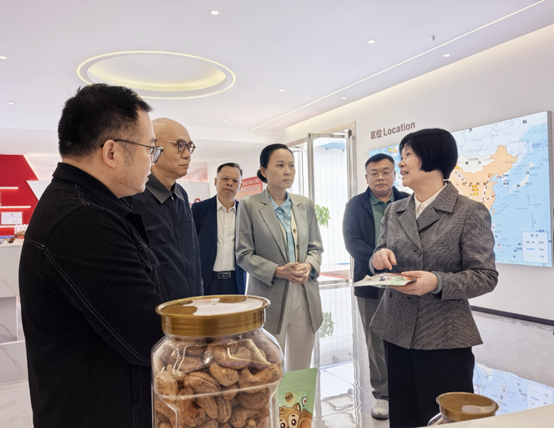 蔡文姬率队赴靖西开展重点提案督办