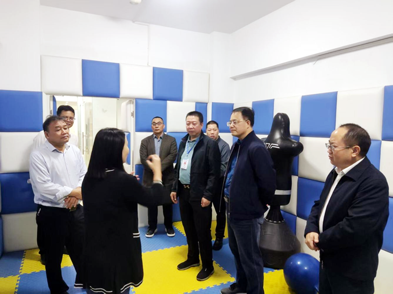 黄建平在百色城开展重点提案督办