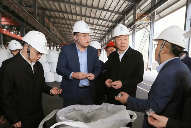 孙大伟深入崇左百色调研时指出 积极建言献策广泛凝聚共识 为广西高质量发展贡献智慧和力量