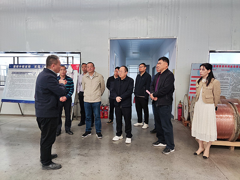 图为调研组在广西大优线缆科技有限公司实地调研.jpg