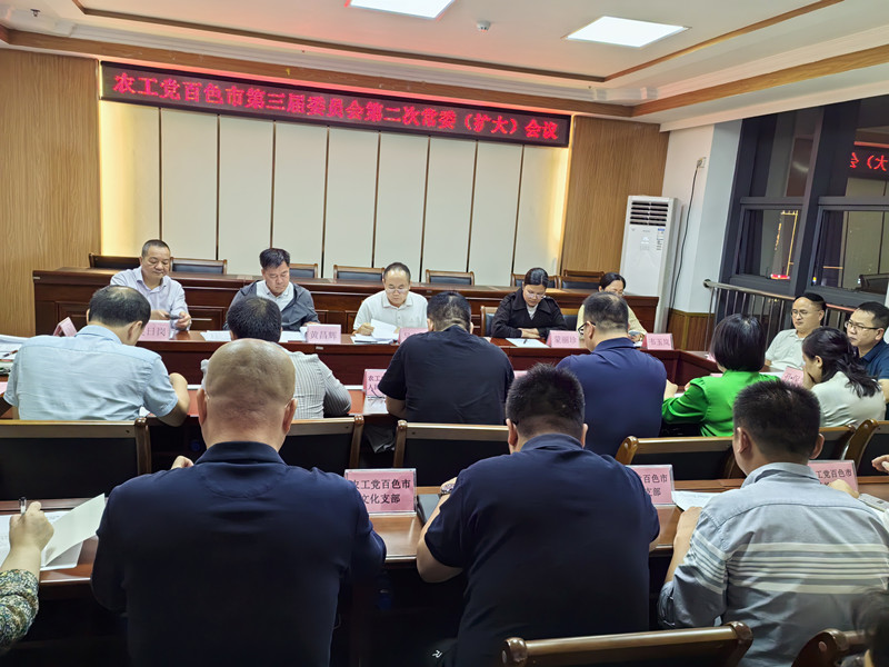 农工党百色市委会三届二次常委(扩大)会议.jpg