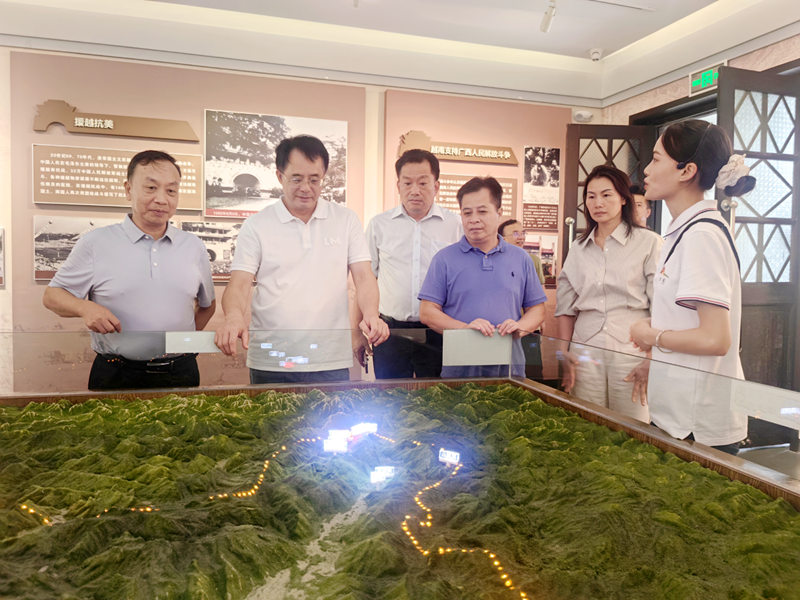 黄建平率队赴防城港市、崇左市开展专题调研