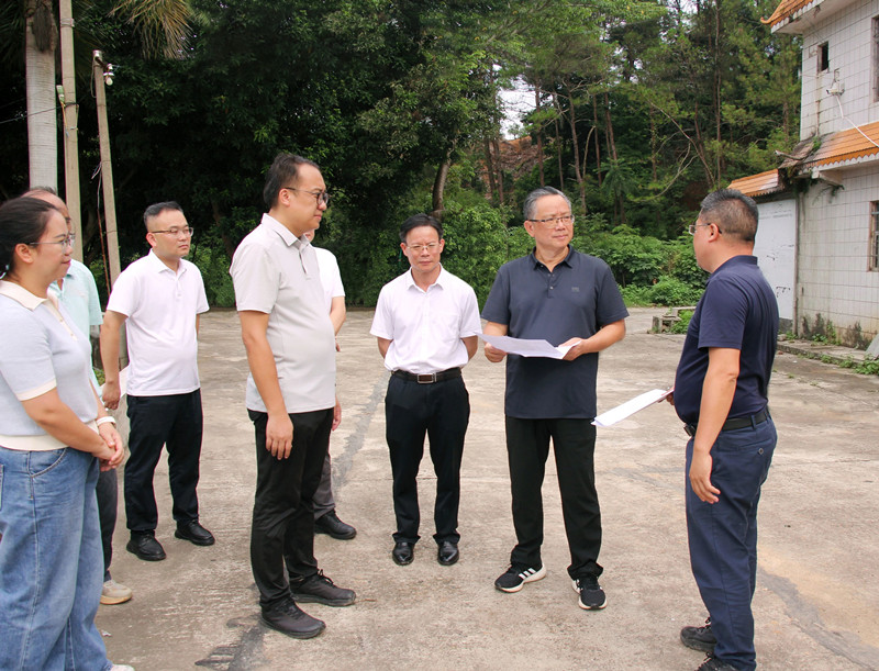 石国怀到右江区、田阳区督导检查水库安全度汛工作
